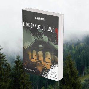 L'inconnue du lavoir