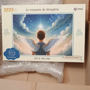 Puzzle 1000 pièces  RDS (bientôt disponible)